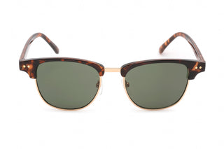 Calvin Klein Retail CK20314S Sunglasses Shiny Tortoise / Solid Green/G15-AmbrogioShoes