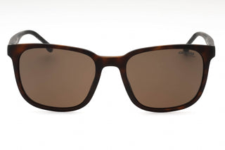 Carrera CARRERA 8046/S Sunglasses MATTE HAVANA / BROWN-AmbrogioShoes