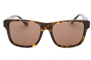 Emporio Armani 0EA4208 Sunglasses Havana/Top Crystal /Dark Brown-AmbrogioShoes