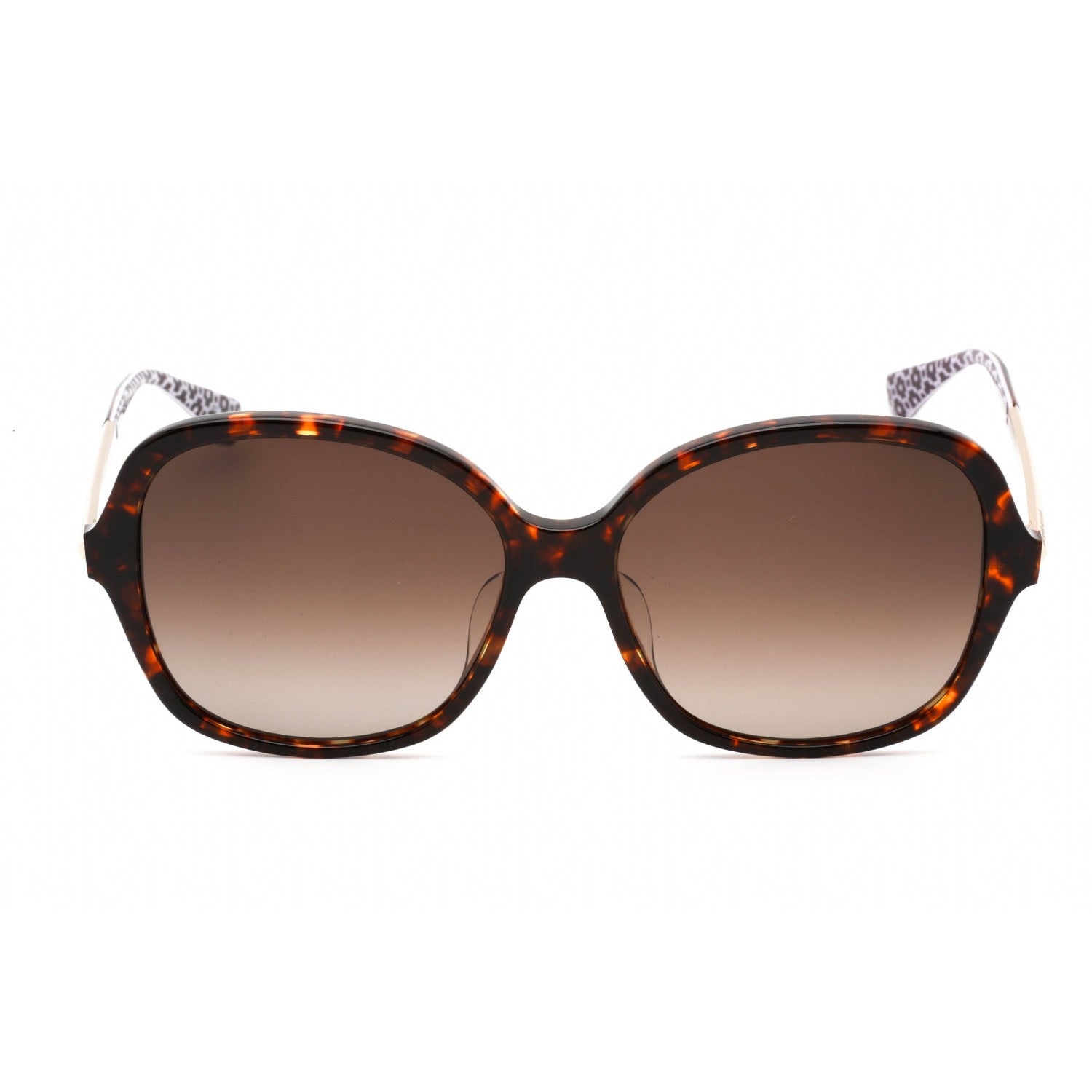 Kate Spade KAILEEN/S Brown deals Havana Sunglasses