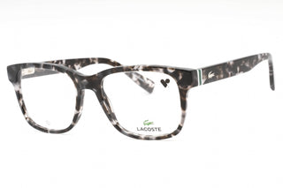 Lacoste L2937 Eyeglasses HAVANA GREY / Clear demo lens-AmbrogioShoes