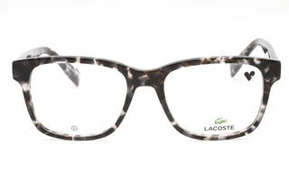 Lacoste L2937 Eyeglasses HAVANA GREY / Clear demo lens-AmbrogioShoes