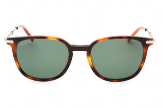 Salvatore Ferragamo SF1015S Sunglasses TORTOISE/Green-AmbrogioShoes